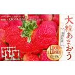 大粒あまおう 4パック