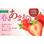 春のあまおう 2L