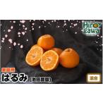 はるみ 2.5kg+250g 痛み補償分