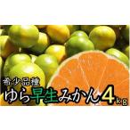 由良早生 みかん 4kg