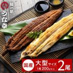 うな幸 うなぎ 蒲焼き1尾 白焼き1尾