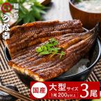 うな幸 うなぎ ふわとろ蒲焼き 大型3尾