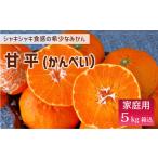 ふるさと納税 甘平 みかん 愛媛 バラ詰め 約5kg 人気 数量限定 先行予約 【2026年2月上旬以降発送】 柑橘 愛媛県産 伊予市|C131 愛媛県伊予市