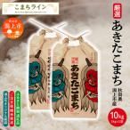 あきたこまち なまはげ 米袋 10kg