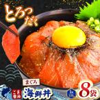 とろだく” ごま醤油 丼 サーモン 8袋