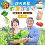 野菜 詰合せ 7~9品 米 2kg