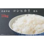黒米 塩米 コシヒカリ 約10kg