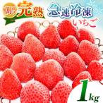 完熟 急速 冷凍いちご 1kg