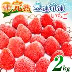 完熟 急速 冷凍いちご 2kg