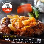 信州Komoroバーグ 150g×10個