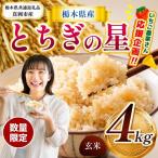 産とちぎの星 4kg