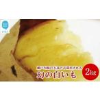 新居浜大島産 幻のさつまいも 白いも 2kg