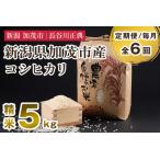 コシヒカリ 精米 5kg