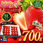 とちあいか 3L以上ホール詰め 約2100g
