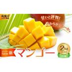 ふるさと納税 (2026年発送・先行予約)【マンゴーfarm新】 沖縄県南城市産マンゴー白箱2kg 沖縄県南城市