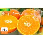石本農園のセミノール M~2L いずれか 約4kg