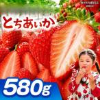 とちあいか 580g