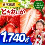 とちあいか 1740g