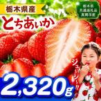 とちあいか 2320g