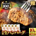 黒豚 生 ハンバーグ 800g