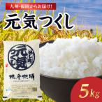 九州 福岡からお届け ブランド米 元気つくし 5kg×1袋
