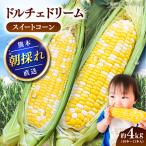 スイートコーン ドルチェドリーム 約4kgBHCJ002