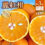 麗紅柑 れいこう 青秀品 2S~3Lサイズ 3kg