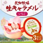 花畑牧場 生キャラメル いちご 8粒入り×3セット