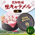 花畑牧場 生キャラメル 極 -きわみ- 12粒入り×4セット