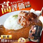 岐阜の名店 柳家 飛騨牛カレー 2食分 陶ホープフル