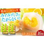 銘菓 はっさく大福16個入 福山銘菓