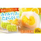 スイーツ はっさく大福 40個