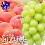 旬の採れたて2回定期便 桃 シャインマスカット