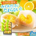 はっさく大福8個入×2 大福