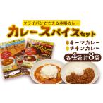 本格 キーマカレー チキンカレー スパイス