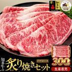 知多牛 響 リブロース 炙り焼き セット 300g