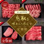 牛肉 セット 和牛セレブ 鳥取和牛 定期便 ゴールドクラス