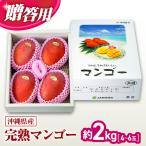 マンゴー 約2kg