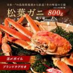 タグ付き活〆ボイル 松葉がに 大 800g前後