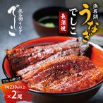 うなぎ 浜名湖 でしこ 長蒲焼 2尾