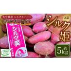 004-1304 シルク姫 約5kg