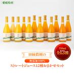 田縁農園の無添加100% ストレートジュース12種おまかせセッ…