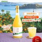 田縁農園の無添加100% 河内晩柑ジュース 720ml×3本