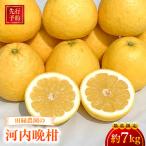 田縁農園の河内晩柑約7kg ※離島への配送不可
