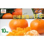 ショッピング甘平 ふるさと納税 【先行予約】【家庭用】甘平 10kg ※離島への配送不可 （2026年1月25日より順次発送） IKTA032 愛媛県伊方町