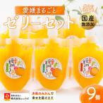 愛媛まるごとゼリーセット 9個