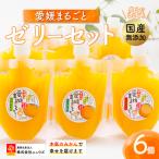 愛媛まるごとゼリーセット 6個