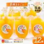 愛媛まるごとゼリーセット 12個