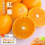 紅華 生果 約2.5kg