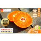 ショッピング甘平 ふるさと納税 【先行予約】産地直送！愛媛県産甘平 3kg（訳あり）（2026年1月下旬より発送予定） IKTF020  愛媛県伊方町